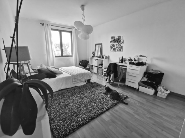 Location maison Carrieres-sur-seine 78420