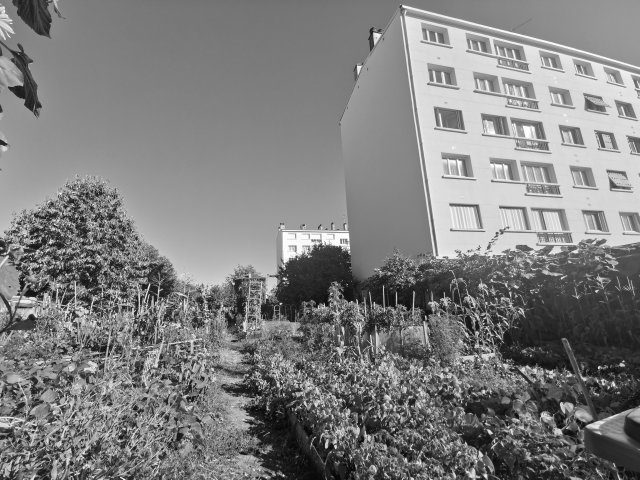 Vente appartement Montreuil 93100