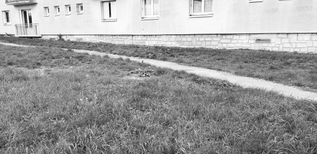 Location appartement Meru 60110