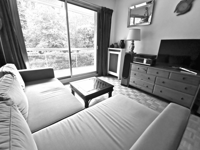 Vente appartement Nogent-sur-marne 94130