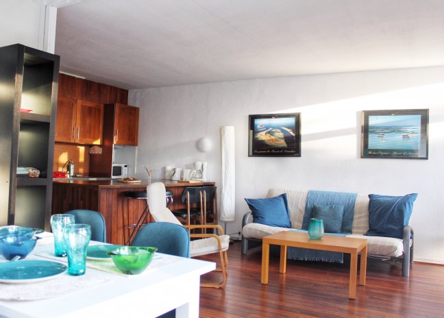 Location vacances appartement Arcachon 33120