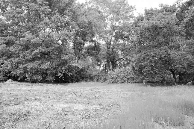 Vente terrain Gujan-mestras 33470