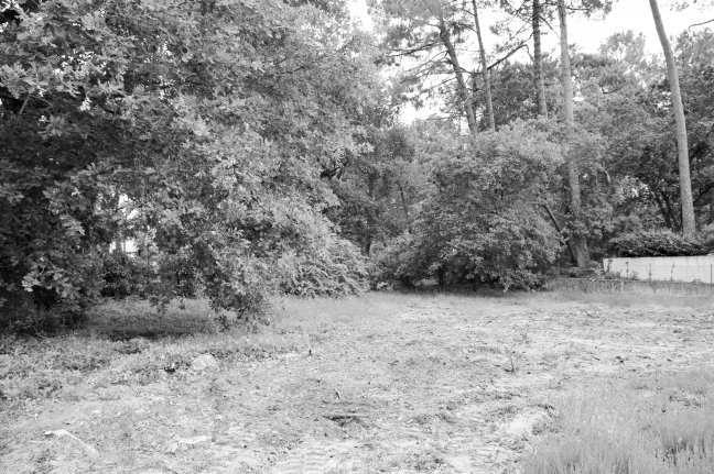 Vente terrain Gujan-mestras 33470