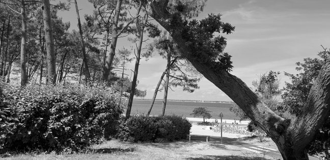 Vente appartement Arcachon 33120