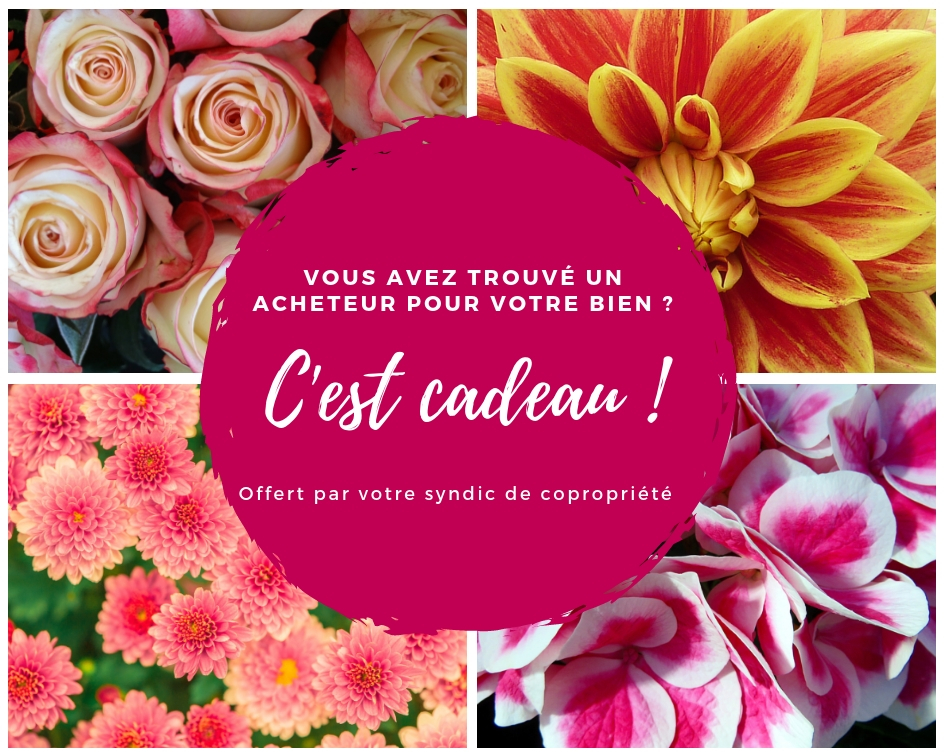 "IMMOBILIER : vente en coproprit, votre syndic  la rescousse (histoire vraie)"