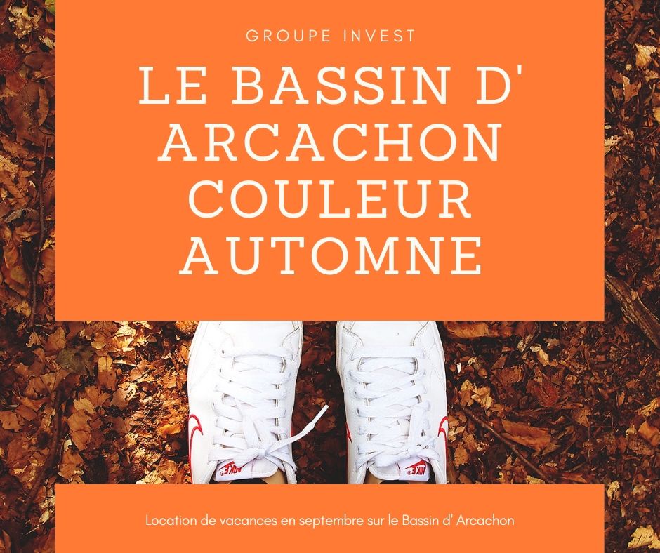 "Location vacances en septembre - spcial bassin d' Arcachon 2019"